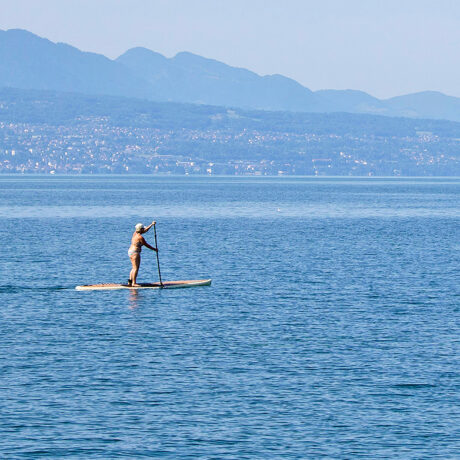 Paddle: petit rappel des règles