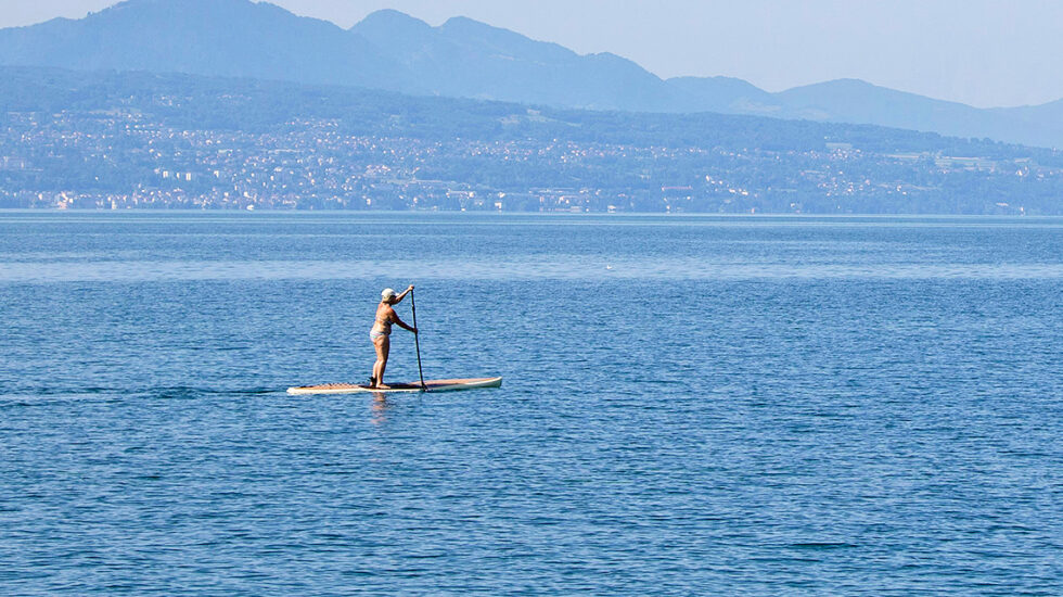 Paddle: petit rappel des règles