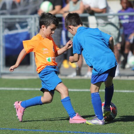 Graines de foot 2026
