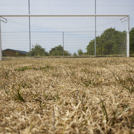 La sécheresse est sans pitié pour les terrains de foot