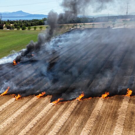 En direct | Les pompiers sur la brèche pour des champs en feu
