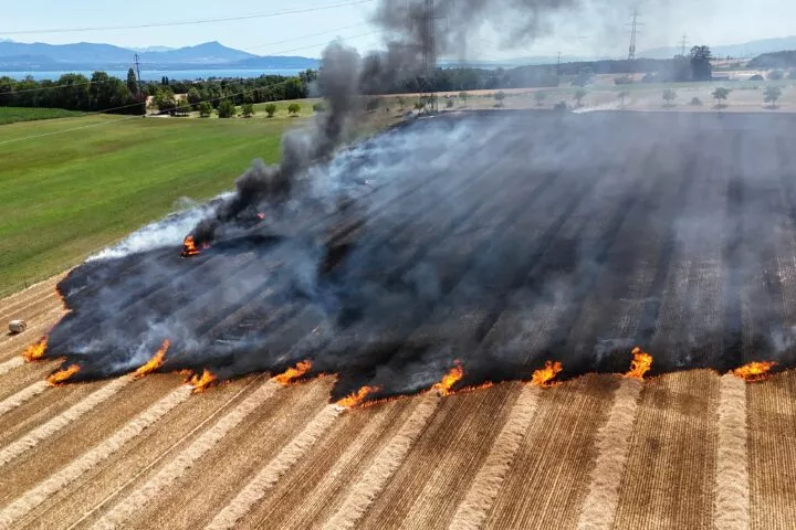 En direct | Les pompiers sur la brèche pour des champs en feu
