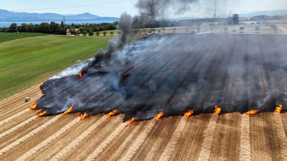 Les pompiers sur la brèche ce week-end pour des champs en feu