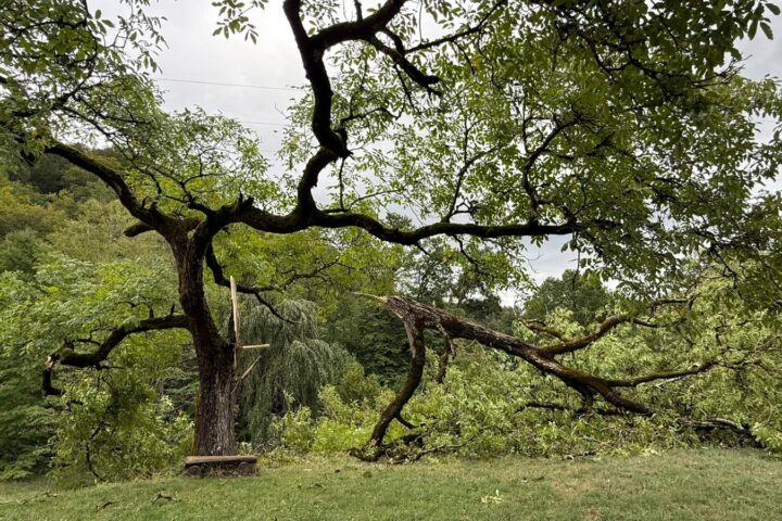 Fermeture de l&rsquo;Arboretum jusqu&rsquo;à nouvel avis