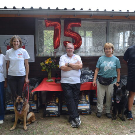 Un 75ème anniversaire ludique