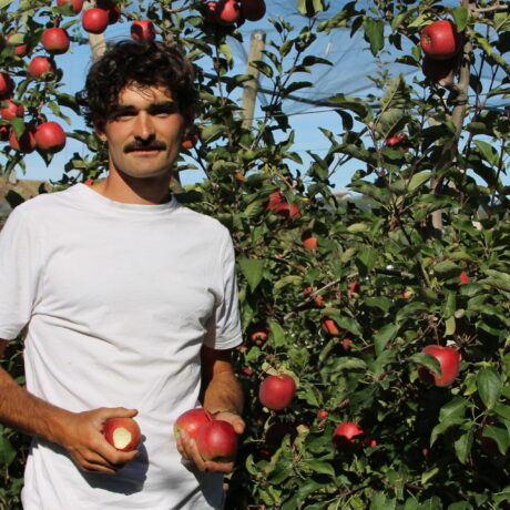 À Marcelin, un verger expérimental au service des arboriculteurs