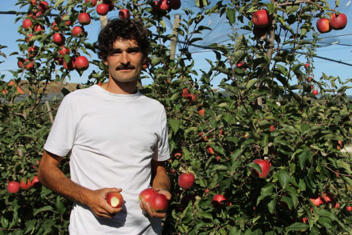 À Marcelin, un verger expérimental au service des arboriculteurs