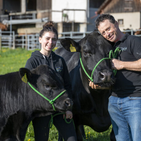 Les deux vaches fugueuses ont été retrouvées